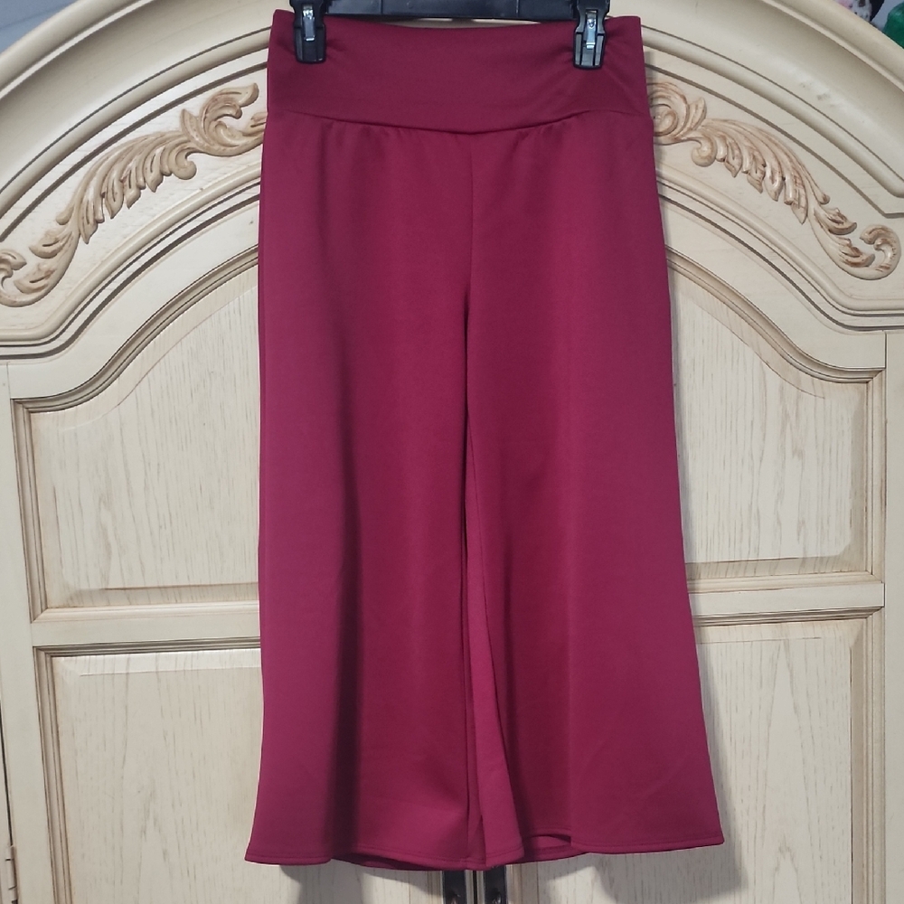 Azules Burgundy Wide-Leg Pants
